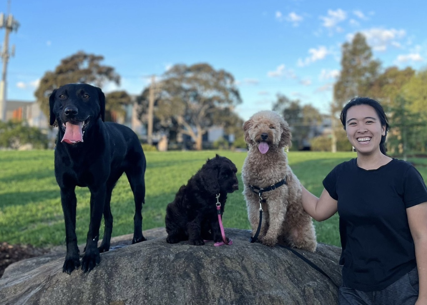 Diona with Murphy and two client dogs in a Melbourne park
